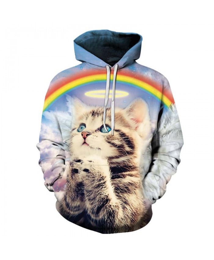 cat looking sweatshirt